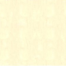 POLARNA BREZA D9420BS